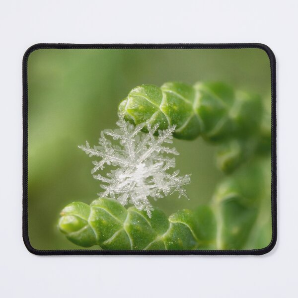 Item preview, Snowflake Between Evergreen Buds designed and sold by Goiko7Margarita.