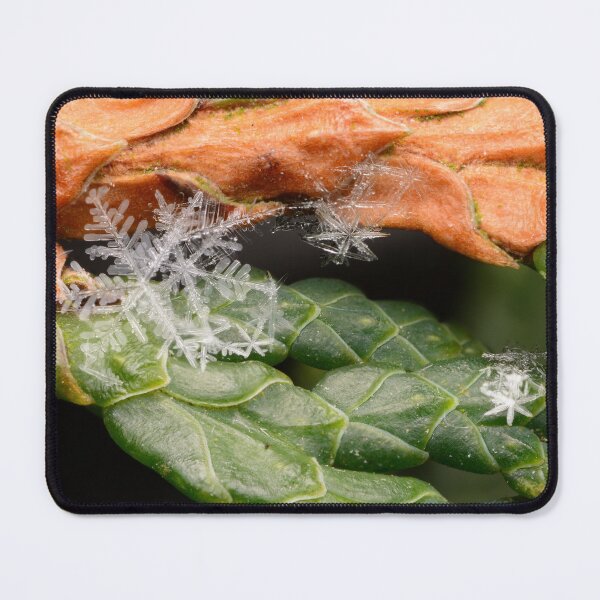 Item preview, Snowflakes on Evergreen Scales designed and sold by Goiko7Margarita.