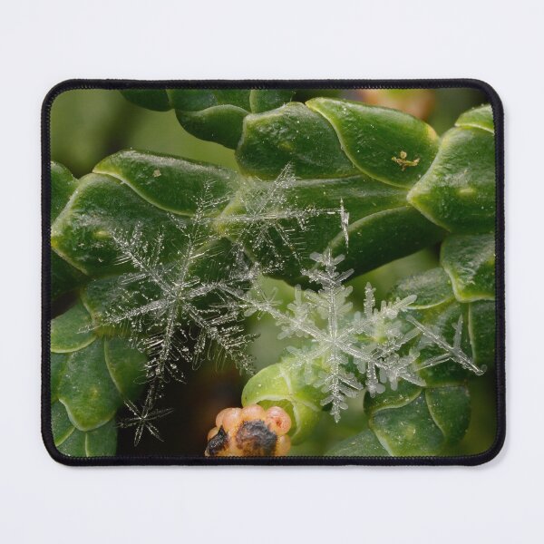 Item preview, Two Snowflakes on an Evergreen Branch designed and sold by Goiko7Margarita.