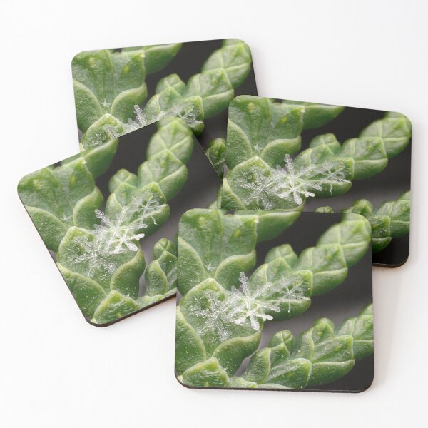 Item preview, Clustered Snowflakes on a Thuja Branch designed and sold by Goiko7Margarita.
