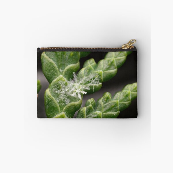 Item preview, Clustered Snowflakes on a Thuja Branch designed and sold by Goiko7Margarita.
