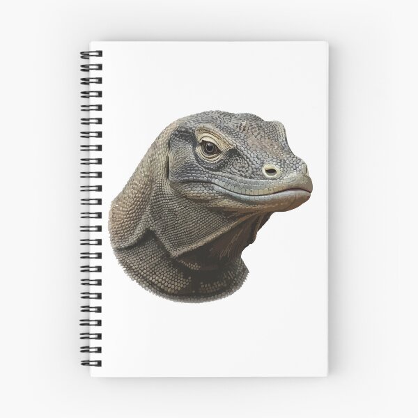 Item preview, Bombastic Side Eye Funny Komodo Dragon Meme designed and sold by Petzzz.