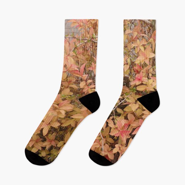 Item preview, Autumn leaves designed and sold by Betulek.
