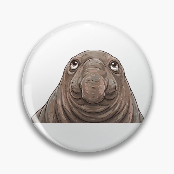 Item preview, Why The Long Face Elephant Seal Nose designed and sold by Petzzz.