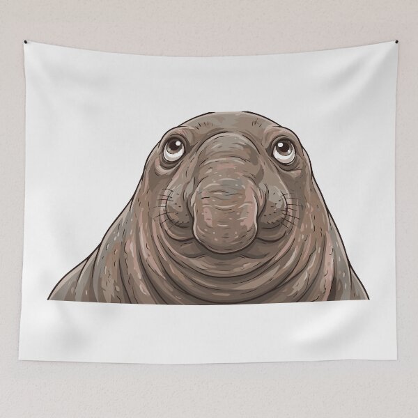 Item preview, Why The Long Face Elephant Seal Nose designed and sold by Petzzz.