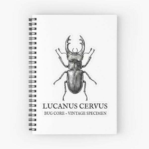 Item preview, Vintage Stag Beetle - Lucanus Cervus Scientific Illustration designed and sold by ai1art.