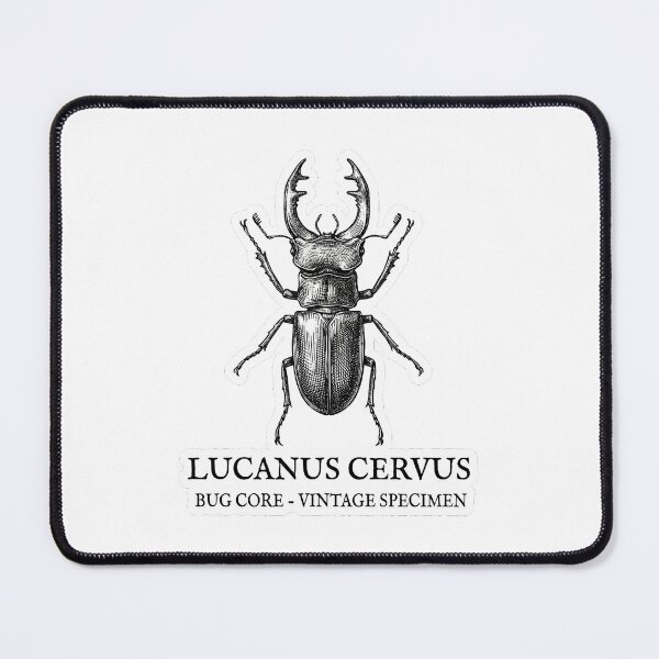 Item preview, Vintage Stag Beetle - Lucanus Cervus Scientific Illustration designed and sold by ai1art.