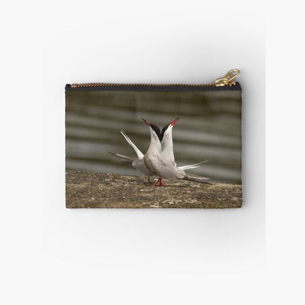 Item preview, Common Terns displaying designed and sold by Jon Lees.
