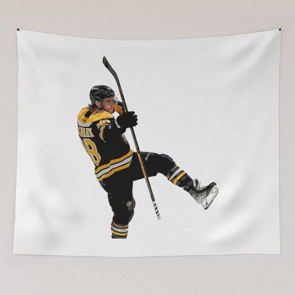Item preview,  David Pastrnak designed and sold by GSUDPT.