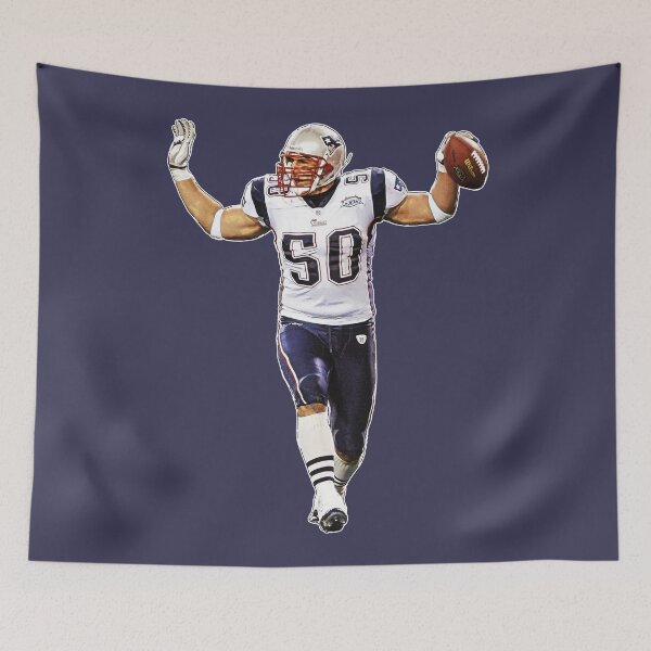 Item preview, Vrabel designed and sold by On Target Sports.