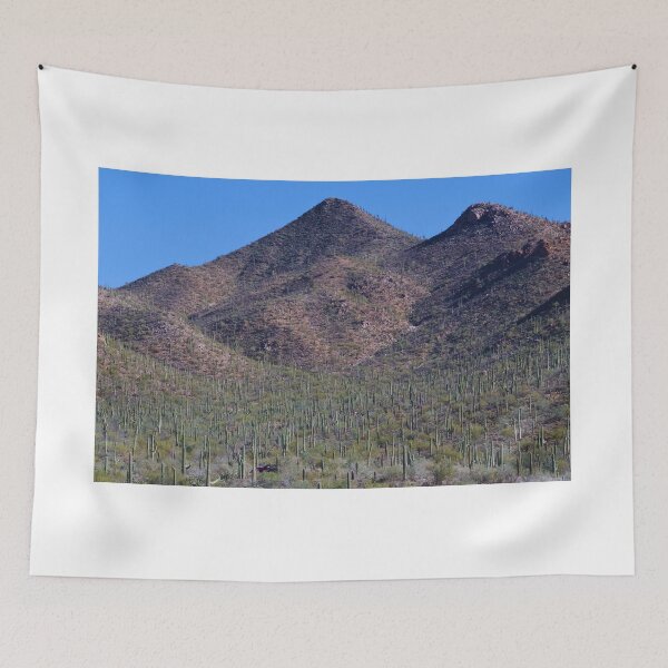 Item preview, Cactus-Covered Desert Hills designed and sold by Phakade's Photos.