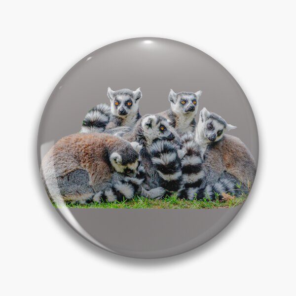 Item preview, Lemur Cuddle designed and sold by Dalyndigital Photography.