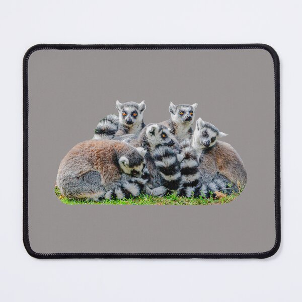 Item preview, Lemur Cuddle designed and sold by Dalyndigital Photography.