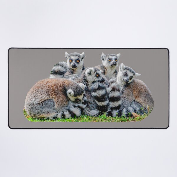 Item preview, Lemur Cuddle designed and sold by Dalyndigital Photography.