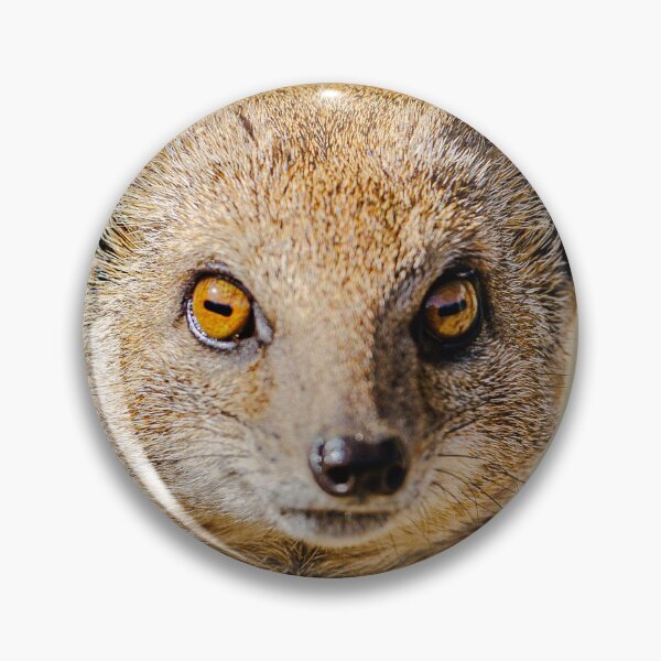 Item preview, alert yellow mongoose designed and sold by Dalyndigital Photography.