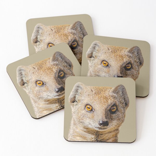Item preview, alert yellow mongoose designed and sold by Dalyndigital Photography.