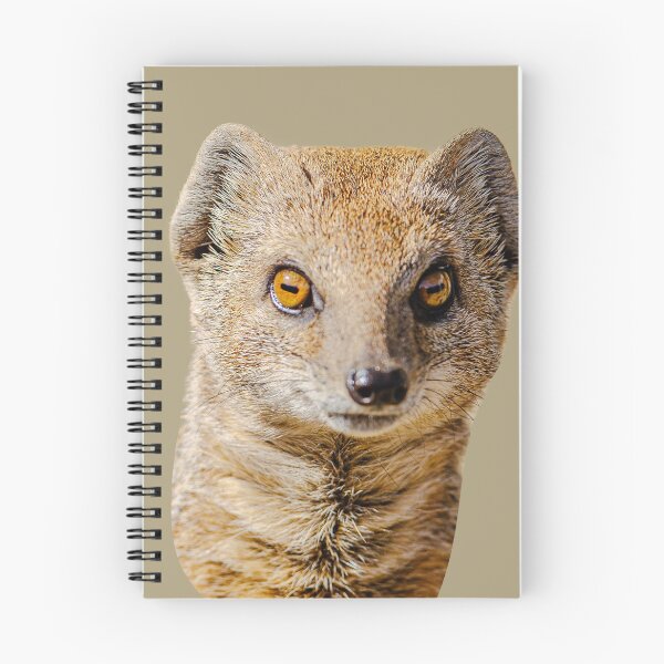 Item preview, alert yellow mongoose designed and sold by Dalyndigital Photography.