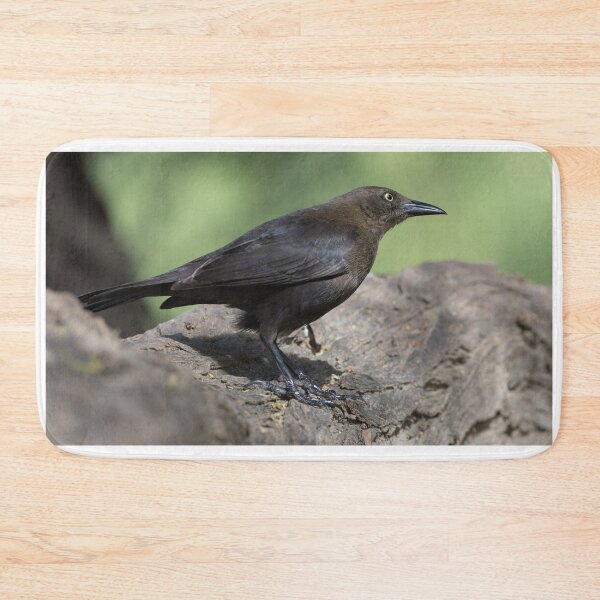 Item preview, Carib Grackle designed and sold by LaurenTucker.