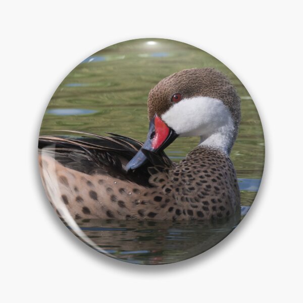 Item preview, White Cheeked Pintail designed and sold by LaurenTucker.