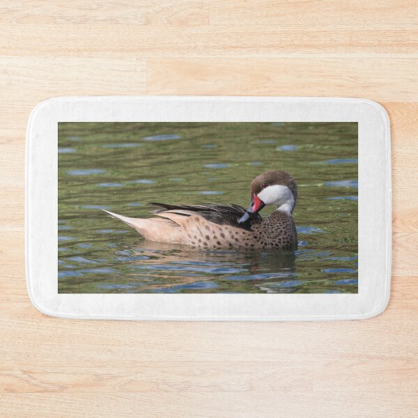Item preview, White Cheeked Pintail designed and sold by LaurenTucker.