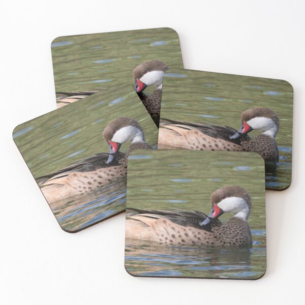 Item preview, White Cheeked Pintail designed and sold by LaurenTucker.