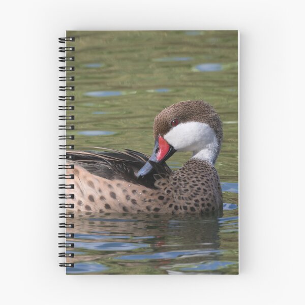 Item preview, White Cheeked Pintail designed and sold by LaurenTucker.