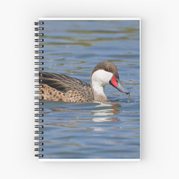 Item preview, White Cheeked Pintail designed and sold by LaurenTucker.