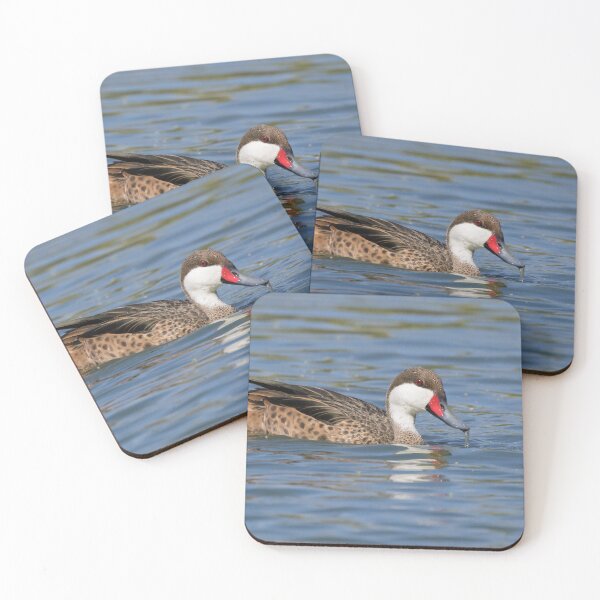 Item preview, White Cheeked Pintail designed and sold by LaurenTucker.