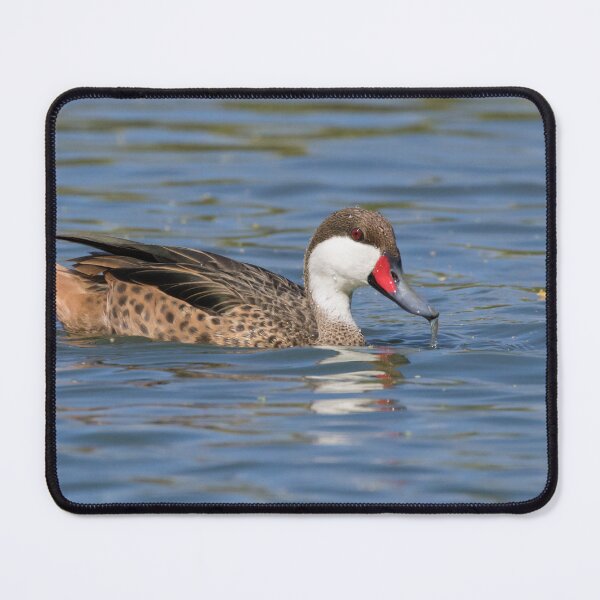 Item preview, White Cheeked Pintail designed and sold by LaurenTucker.