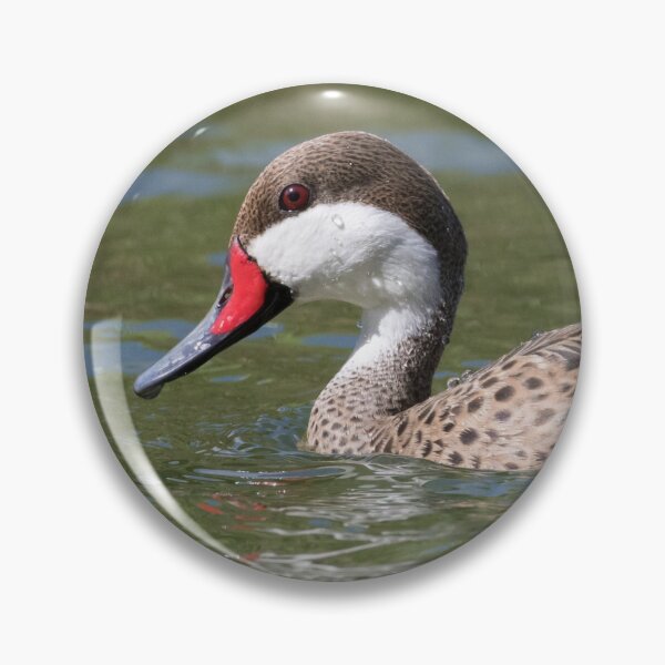 Item preview, White Cheeked Pintail designed and sold by LaurenTucker.