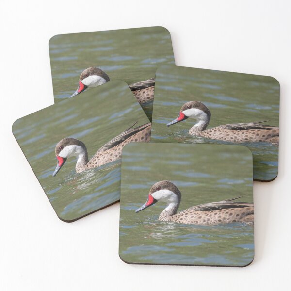 Item preview, White Cheeked Pintail designed and sold by LaurenTucker.