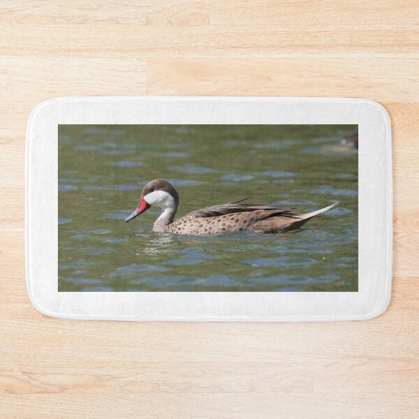 Item preview, White Cheeked Pintail designed and sold by LaurenTucker.