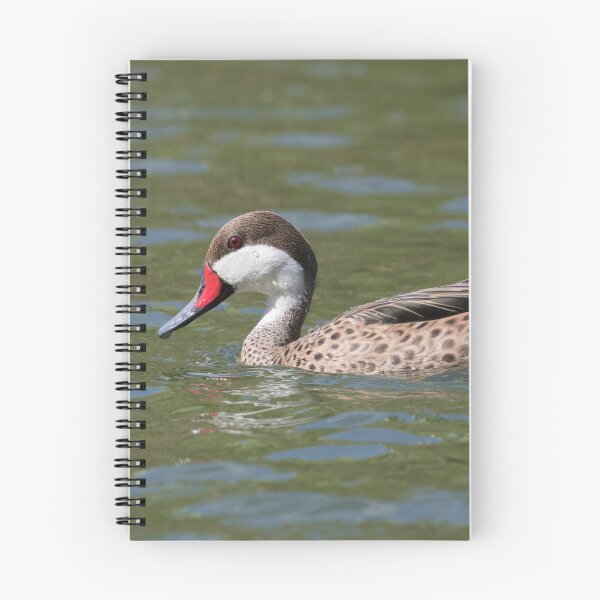 Item preview, White Cheeked Pintail designed and sold by LaurenTucker.