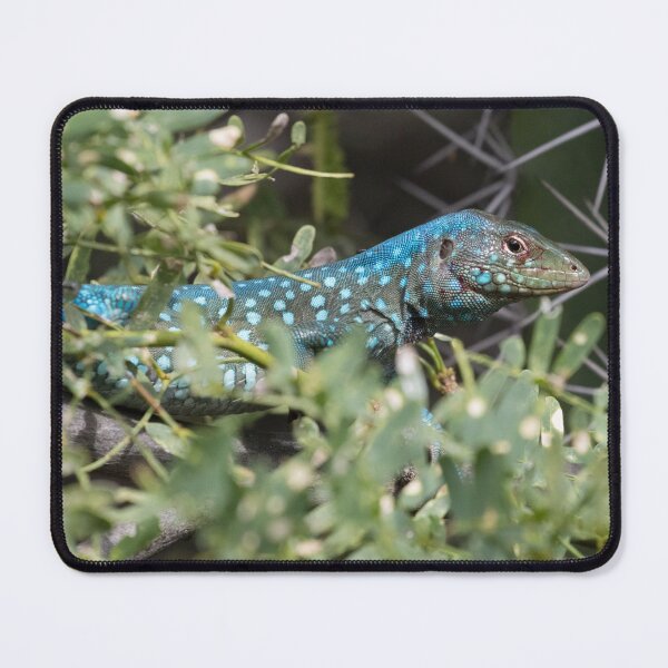 Item preview, Aruba Blue Lizard designed and sold by LaurenTucker.