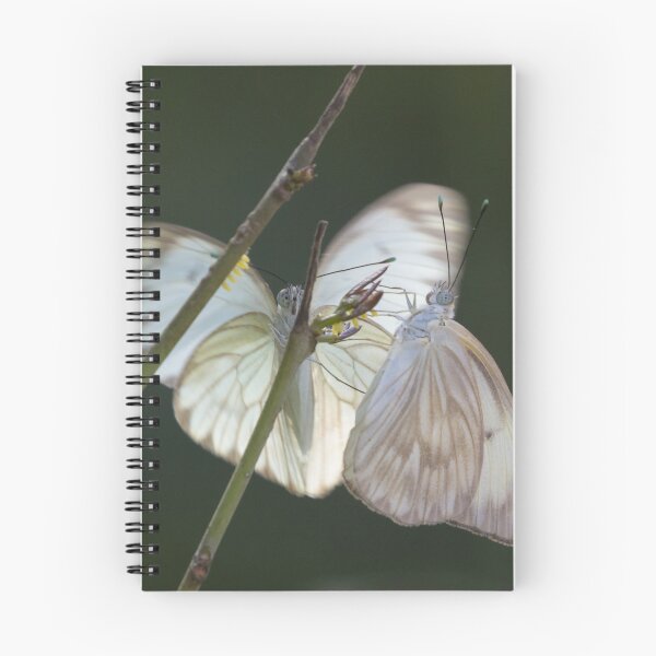 Item preview, Great Southern White designed and sold by LaurenTucker.