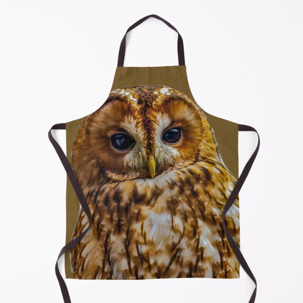 Item preview,  Tawny Owl 'peek a boo' designed and sold by Dalyndigital Photography.