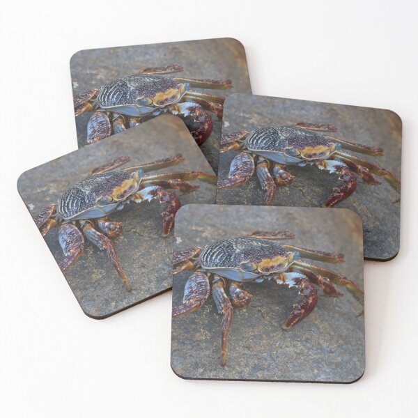 Item preview, Sally Lightfoot Crab designed and sold by LaurenTucker.