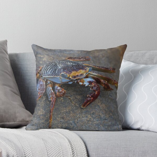 Item preview, Sally Lightfoot Crab designed and sold by LaurenTucker.