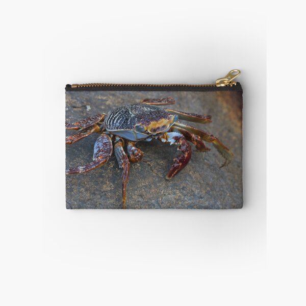 Item preview, Sally Lightfoot Crab designed and sold by LaurenTucker.