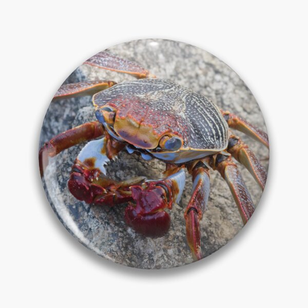 Item preview, Sally Light Foot Crab  designed and sold by LaurenTucker.