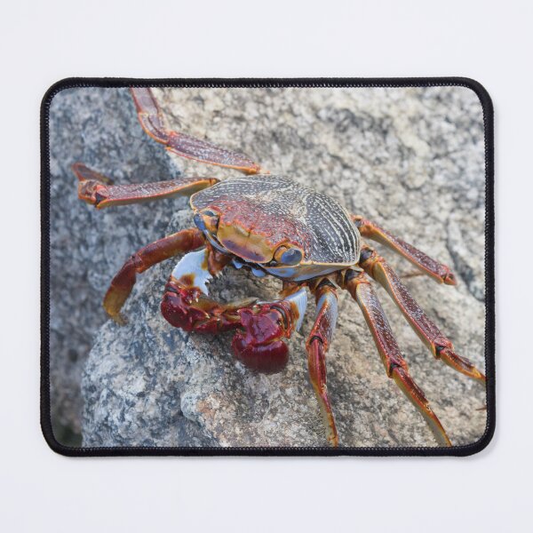 Item preview, Sally Light Foot Crab designed and sold by LaurenTucker.