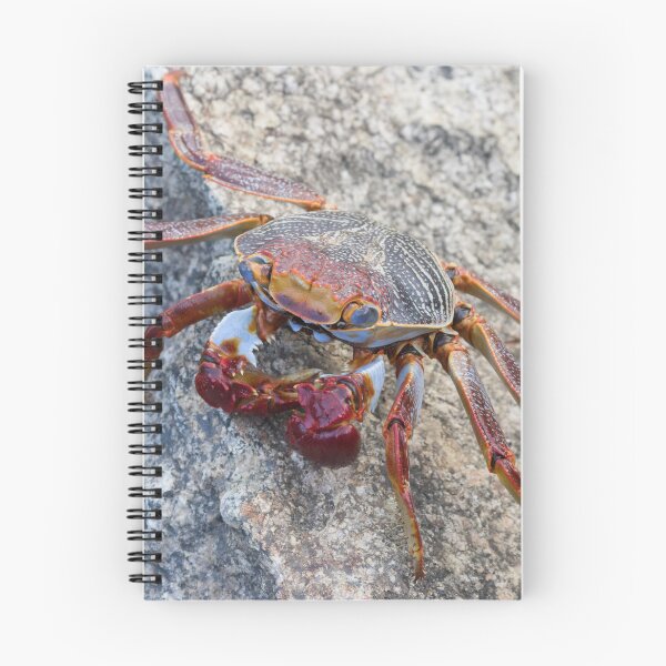 Item preview, Sally Light Foot Crab  designed and sold by LaurenTucker.