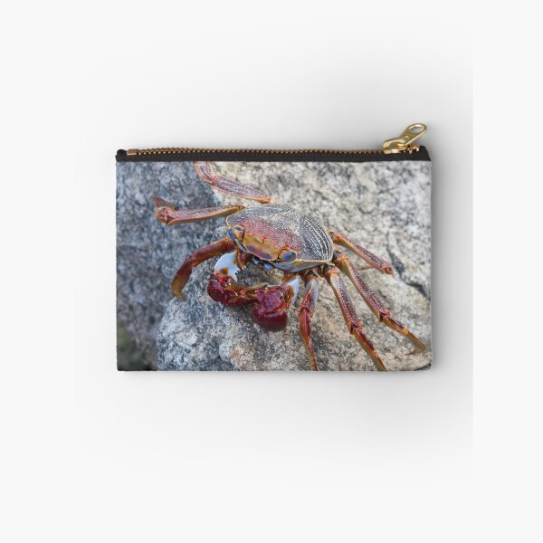 Item preview, Sally Light Foot Crab  designed and sold by LaurenTucker.