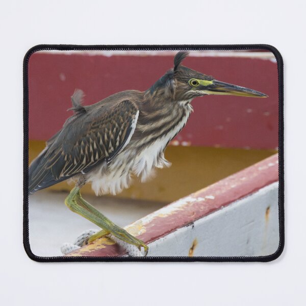 Item preview, Green Heron designed and sold by LaurenTucker.