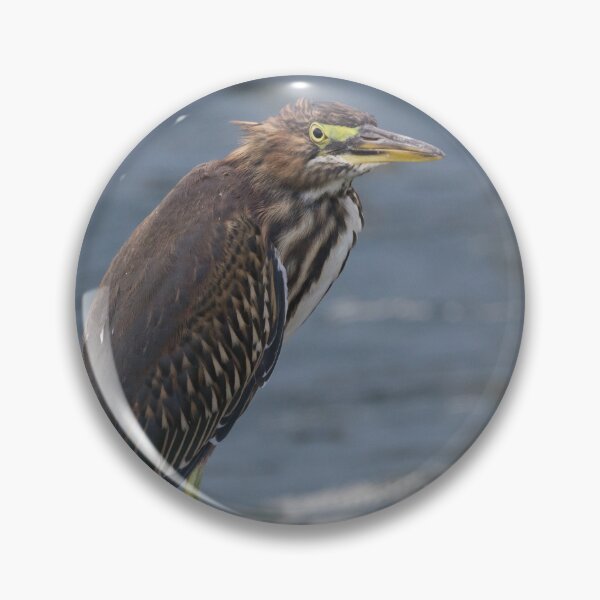 Item preview, Green Heron designed and sold by LaurenTucker.