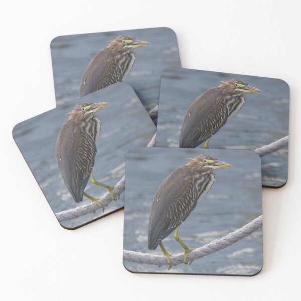 Item preview, Green Heron designed and sold by LaurenTucker.