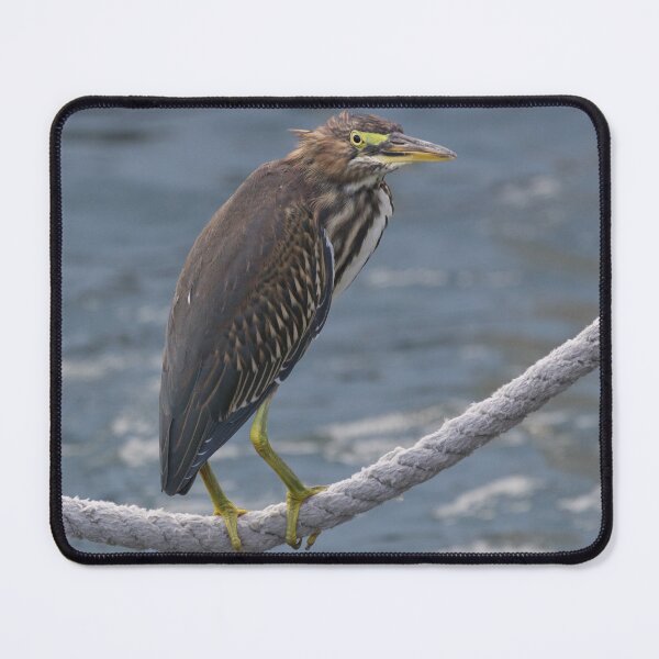 Item preview, Green Heron designed and sold by LaurenTucker.