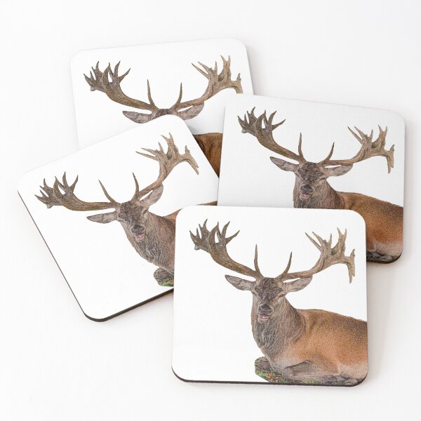 Item preview, Red Deer Stag having a rest designed and sold by Dalyndigital Photography.