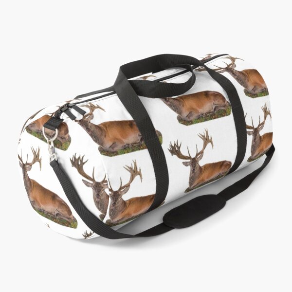 Item preview, Red Deer Stag having a rest designed and sold by Dalyndigital Photography.