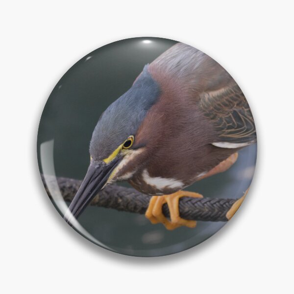 Item preview, Green Heron designed and sold by LaurenTucker.